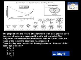 78
The graph shows the results of experiments with plant growth. Each
day, sets of plants were removed from the soil and dried. The
cotyledons were removed and their mass was measured. Then, the
mass of the remaining seedlings was measured.
On which day were the mass of the cotyledons and the mass of the
seedlings the same?
A Day 2
B Day 4
C Day 6
D Day 8
C. Day 6
 