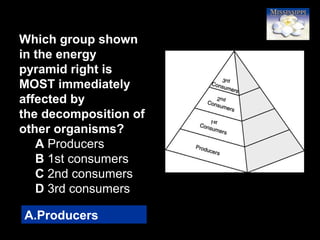 8
Which group shown
in the energy
pyramid right is
MOST immediately
affected by
the decomposition of
other organisms?
A Producers
B 1st consumers
C 2nd consumers
D 3rd consumers
A.Producers
 