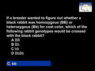 81
If a breeder wanted to figure out whether a
black rabbit was homozygous (BB) or
heterozygous (Bb) for coat color, which of the
following rabbit genotypes would be crossed
with the black rabbit?
A BB
B Bb
C bb
D BbBb
C. bb
 
