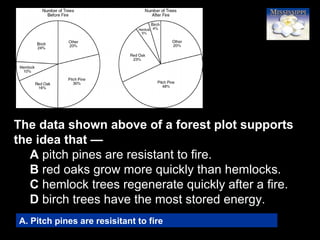 82
The data shown above of a forest plot supports
the idea that —
A pitch pines are resistant to fire.
B red oaks grow more quickly than hemlocks.
C hemlock trees regenerate quickly after a fire.
D birch trees have the most stored energy.
A. Pitch pines are resisitant to fire
 