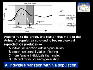 85
According to the graph, one reason that more of the
Animal A population survived is because sexual
reproduction produces —
A individual variation within a population.
B larger numbers of viable offspring.
C more female individuals than male.
D different forms for each generation.
A. Individual variation within a population
 