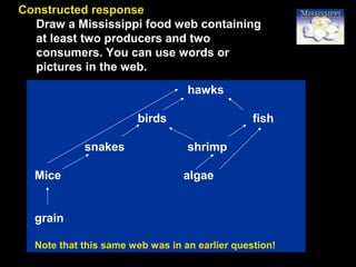 87
Constructed response
Draw a Mississippi food web containing
at least two producers and two
consumers. You can use words or
pictures in the web.
hawks
birds fish
snakes shrimp
Mice algae
grain
Note that this same web was in an earlier question!
 