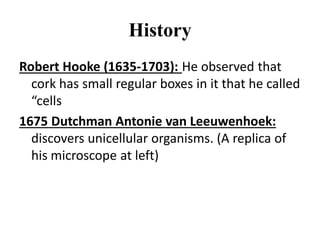 History
Robert Hooke (1635-1703): He observed that
cork has small regular boxes in it that he called
“cells
1675 Dutchman Antonie van Leeuwenhoek:
discovers unicellular organisms. (A replica of
his microscope at left)
 