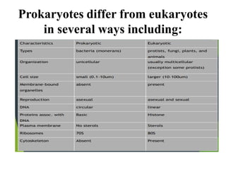 Prokaryotes differ from eukaryotes
in several ways including:
 