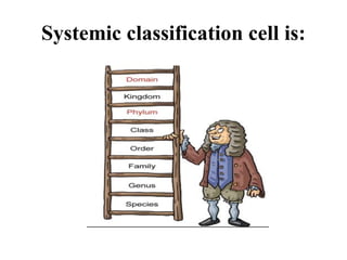 Systemic classification cell is:
 