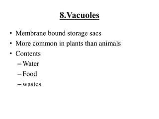 8.Vacuoles
• Membrane bound storage sacs
• More common in plants than animals
• Contents
– Water
– Food
– wastes
 