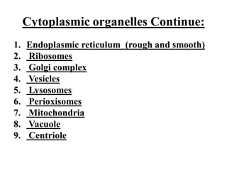 Cytoplasmic organelles Continue:
1. Endoplasmic reticulum (rough and smooth)
2. Ribosomes
3. Golgi complex
4. Vesicles
5. Lysosomes
6. Perioxisomes
7. Mitochondria
8. Vacuole
9. Centriole
 