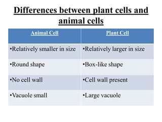 Differences between plant cells and
animal cells
Animal Cell Plant Cell
•Relatively smaller in size •Relatively larger in size
•Round shape •Box-like shape
•No cell wall •Cell wall present
•Vacuole small •Large vacuole
 