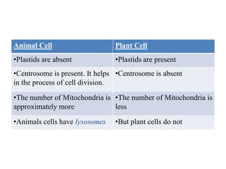 Animal Cell Plant Cell
•Plastids are absent •Plastids are present
•Centrosome is present. It helps
in the process of cell division.
•Centrosome is absent
•The number of Mitochondria is
approximately more
•The number of Mitochondria is
less
•Animals cells have lysosomes •But plant cells do not
 