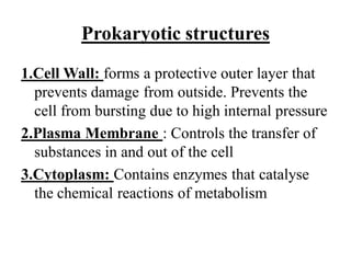 Prokaryotic structures
1.Cell Wall: forms a protective outer layer that
prevents damage from outside. Prevents the
cell from bursting due to high internal pressure
2.Plasma Membrane : Controls the transfer of
substances in and out of the cell
3.Cytoplasm: Contains enzymes that catalyse
the chemical reactions of metabolism
 