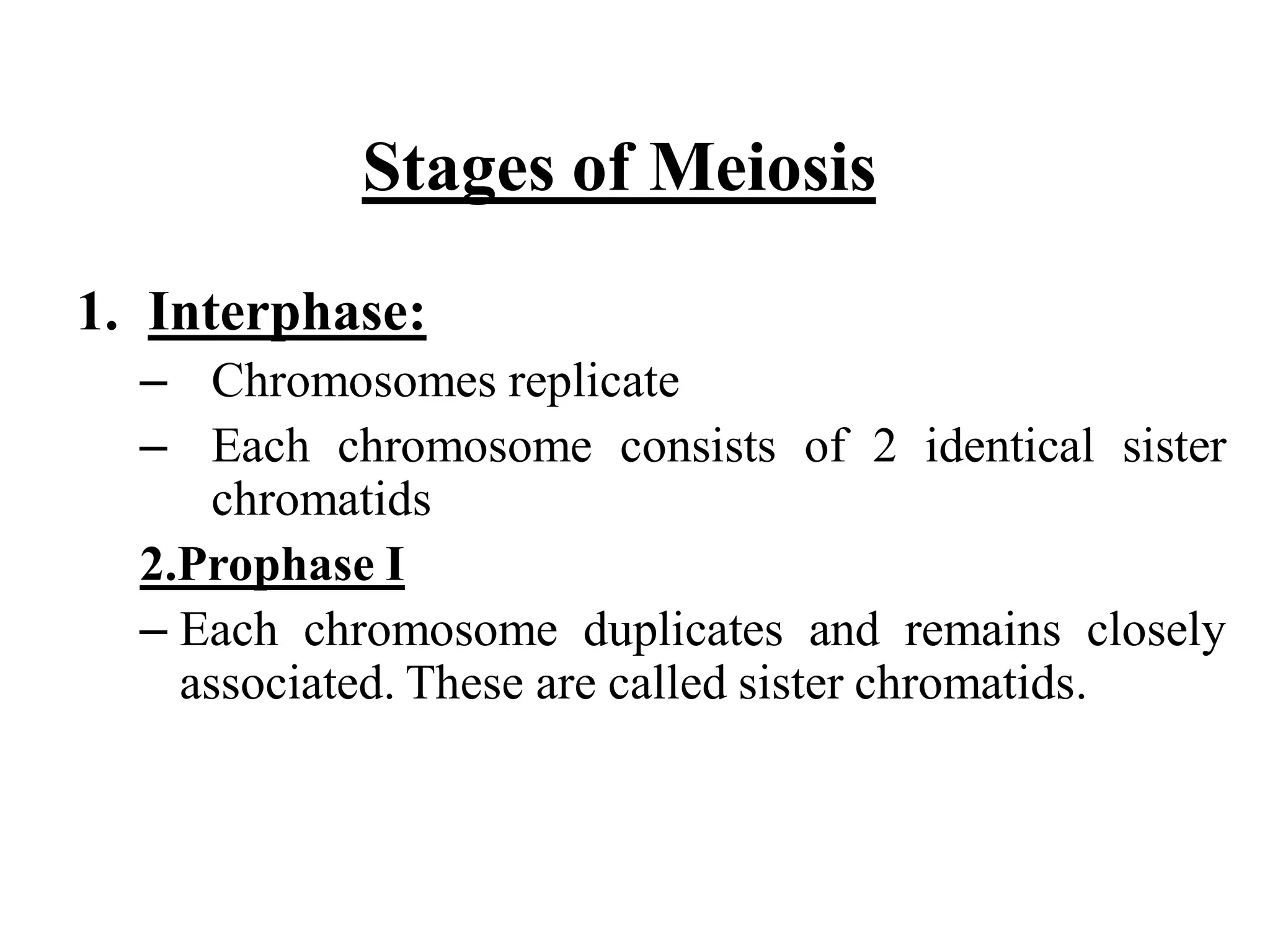 Biology theory 5 (cell division in Eukaryotic cell)