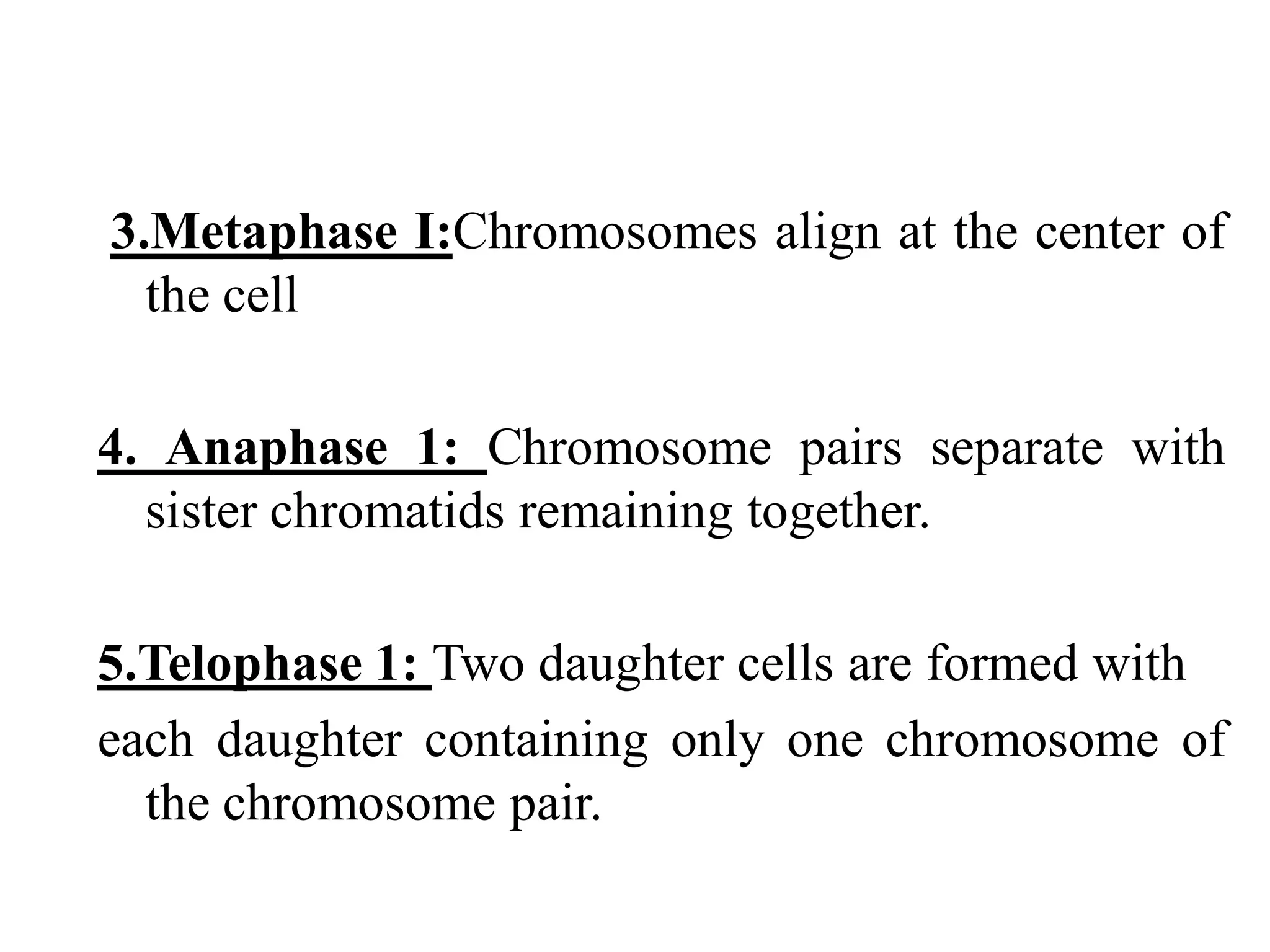 Biology theory 5 (cell division in Eukaryotic cell)