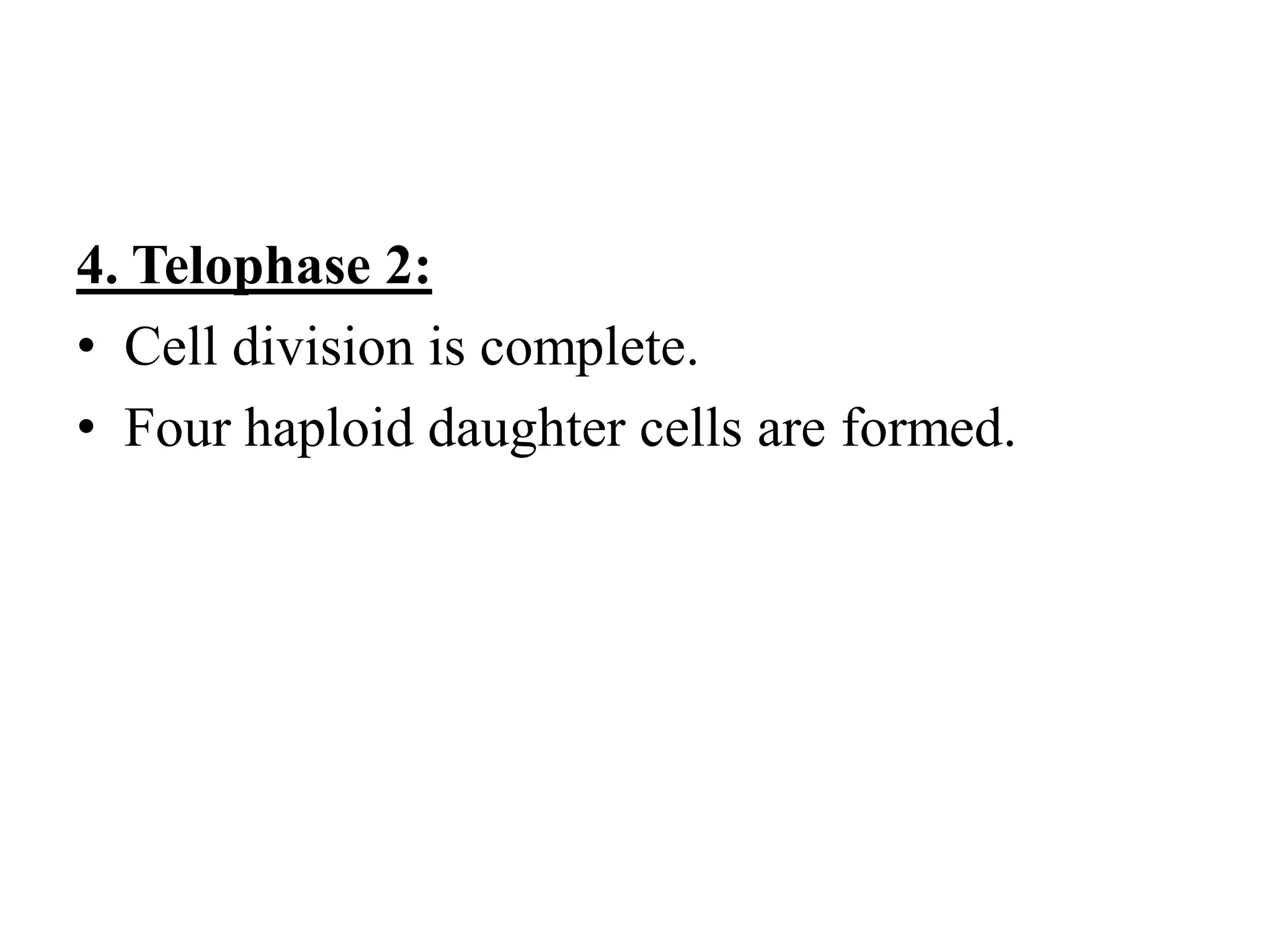 Biology theory 5 (cell division in Eukaryotic cell)