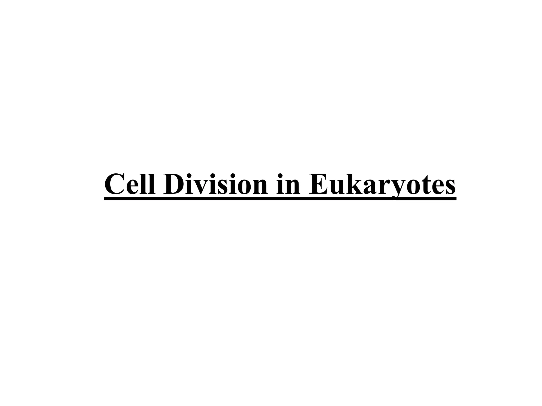 Biology theory 5 (cell division in Eukaryotic cell)