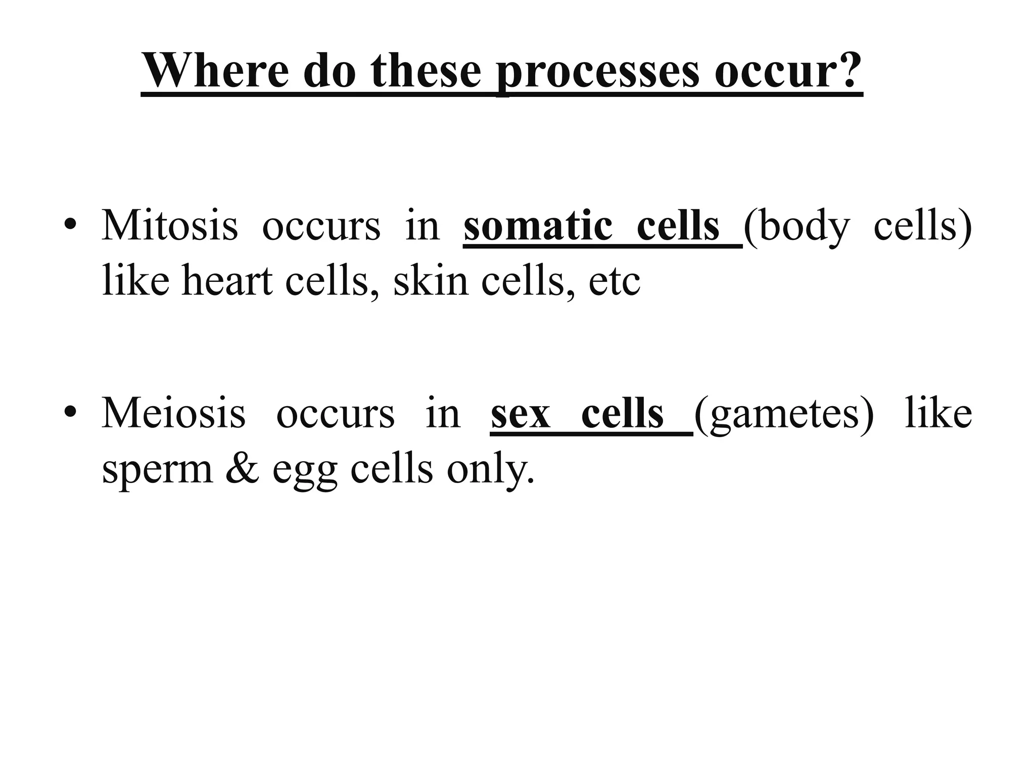Biology theory 5 (cell division in Eukaryotic cell)