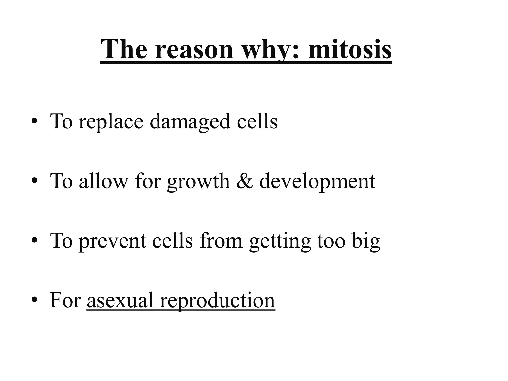 Biology theory 5 (cell division in Eukaryotic cell)