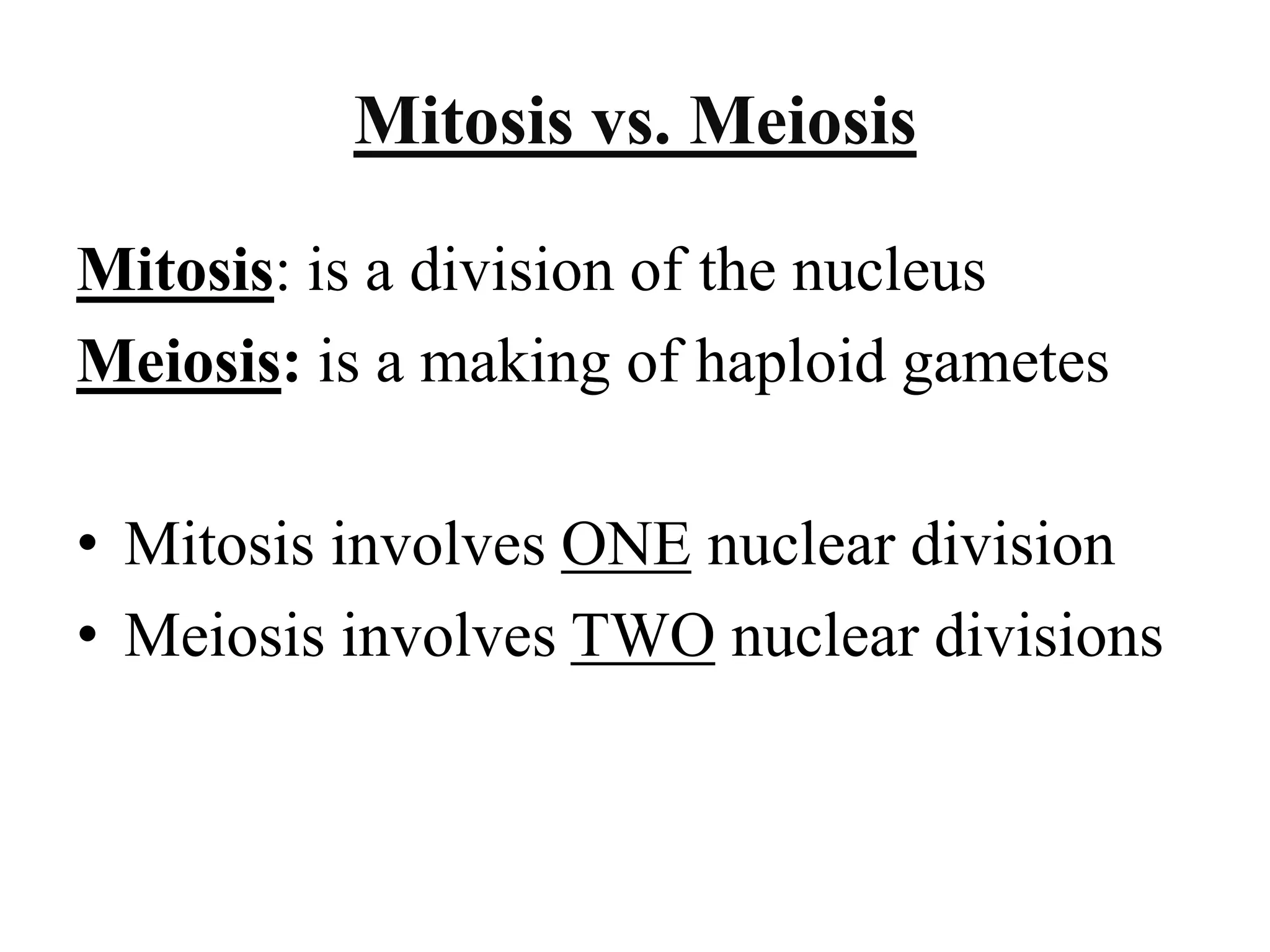 Biology theory 5 (cell division in Eukaryotic cell)