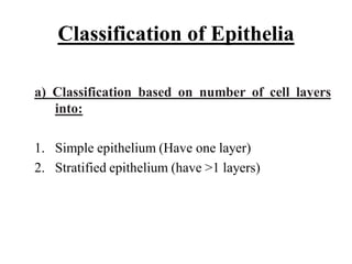 Epithelial Cells Classification Chart.pdf Tissue: Epithelial tissue | PDF