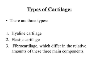Types of Cartilage:
• There are three types:
1. Hyaline cartilage
2. Elastic cartilage
3. Fibrocartilage, which differ in the relative
amounts of these three main components.
 