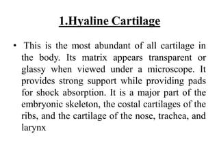 1.Hyaline Cartilage
• This is the most abundant of all cartilage in
the body. Its matrix appears transparent or
glassy when viewed under a microscope. It
provides strong support while providing pads
for shock absorption. It is a major part of the
embryonic skeleton, the costal cartilages of the
ribs, and the cartilage of the nose, trachea, and
larynx
 