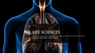 LIFE SCIENCES
GASEOUS EXCHANGE (BREATHING)
 