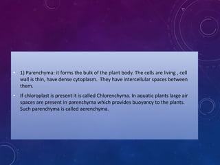 • 1) Parenchyma: it forms the bulk of the plant body. The cells are living , cell
wall is thin, have dense cytoplasm. They have intercellular spaces between
them.
• If chloroplast is present it is called Chlorenchyma. In aquatic plants large air
spaces are present in parenchyma which provides buoyancy to the plants.
Such parenchyma is called aerenchyma.
 