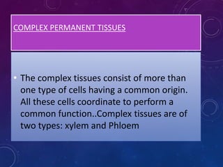COMPLEX PERMANENT TISSUES
• The complex tissues consist of more than
one type of cells having a common origin.
All these cells coordinate to perform a
common function..Complex tissues are of
two types: xylem and Phloem
 