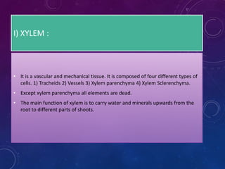 I) XYLEM :
• It is a vascular and mechanical tissue. It is composed of four different types of
cells. 1) Tracheids 2) Vessels 3) Xylem parenchyma 4) Xylem Sclerenchyma.
• Except xylem parenchyma all elements are dead.
• The main function of xylem is to carry water and minerals upwards from the
root to different parts of shoots.
 
