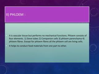 II) PHLOEM :
• It is vascular tissue but performs no mechanical functions. Phloem consists of
four elements. 1) Sieve tubes 2) Companion cells 3) phloem parenchyma 4)
phloem fibres. Except for phloem fibres all the phloem cell are living cells.
• It helps to conduct food materials from one part to other.
 