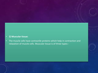 • 2) Muscular tissue:
• The muscle cells have contractile proteins which help in contraction and
relaxation of muscle cells. Muscular tissue is of three types:-
 