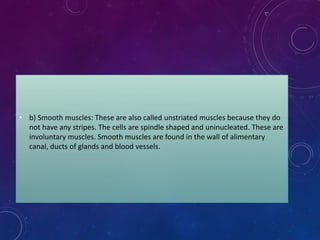 • b) Smooth muscles: These are also called unstriated muscles because they do
not have any stripes. The cells are spindle shaped and uninucleated. These are
involuntary muscles. Smooth muscles are found in the wall of alimentary
canal, ducts of glands and blood vessels.
 