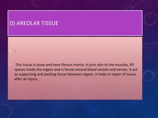 D) AREOLAR TISSUE
• :
• This tissue is loose and have fibrous matrix. It joins skin to the muscles, fill
spaces inside the organs and is found around blood vessels and nerves. It act
as supporting and packing tissue between organs. It helps in repair of tissue
after an injury.
 