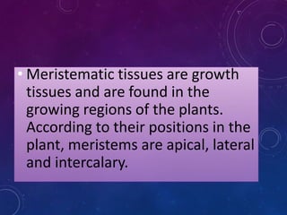 • Meristematic tissues are growth
tissues and are found in the
growing regions of the plants.
According to their positions in the
plant, meristems are apical, lateral
and intercalary.
 