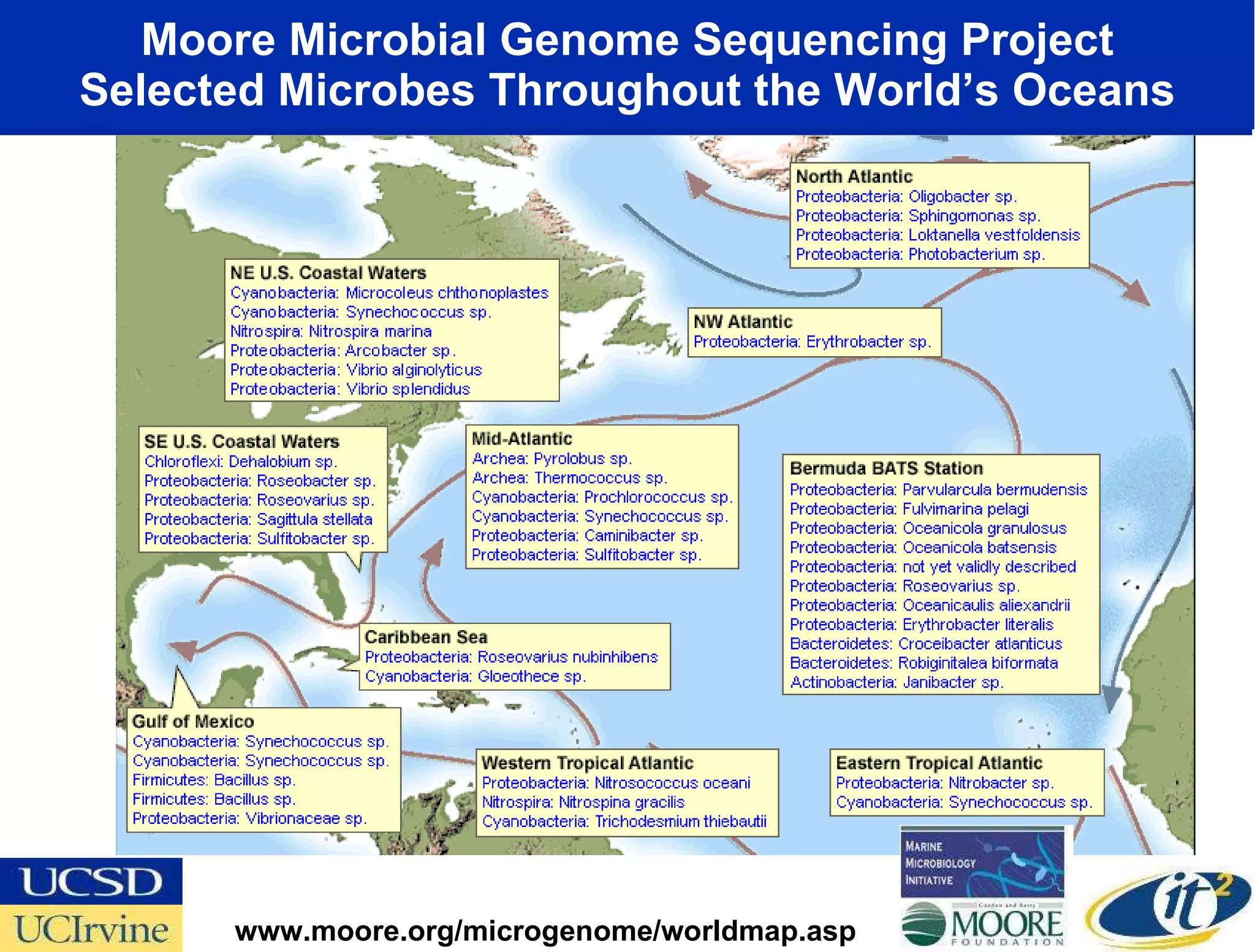 Moore Microbial Genome Sequencing Project Selected Microbes Throughout the World’s Oceans www.moore.org/microgenome/worldmap.asp 