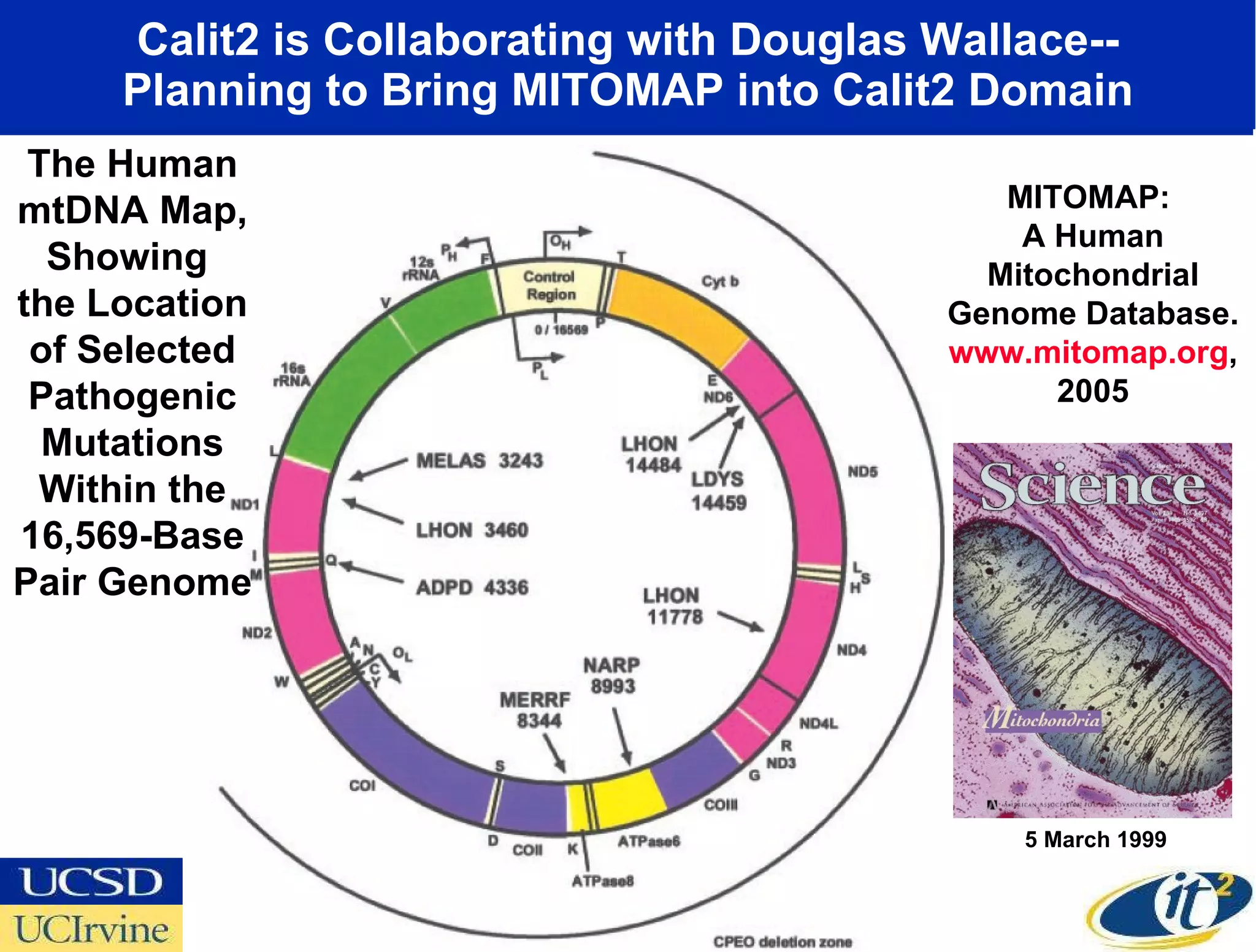 Calit2 is Collaborating with Douglas Wallace-- Planning to Bring MITOMAP into Calit2 Domain The Human mtDNA Map, Showing  the Location of Selected Pathogenic Mutations Within the 16,569-Base Pair Genome MITOMAP:  A Human Mitochondrial Genome Database.  www.mitomap.org , 2005 5 March 1999 