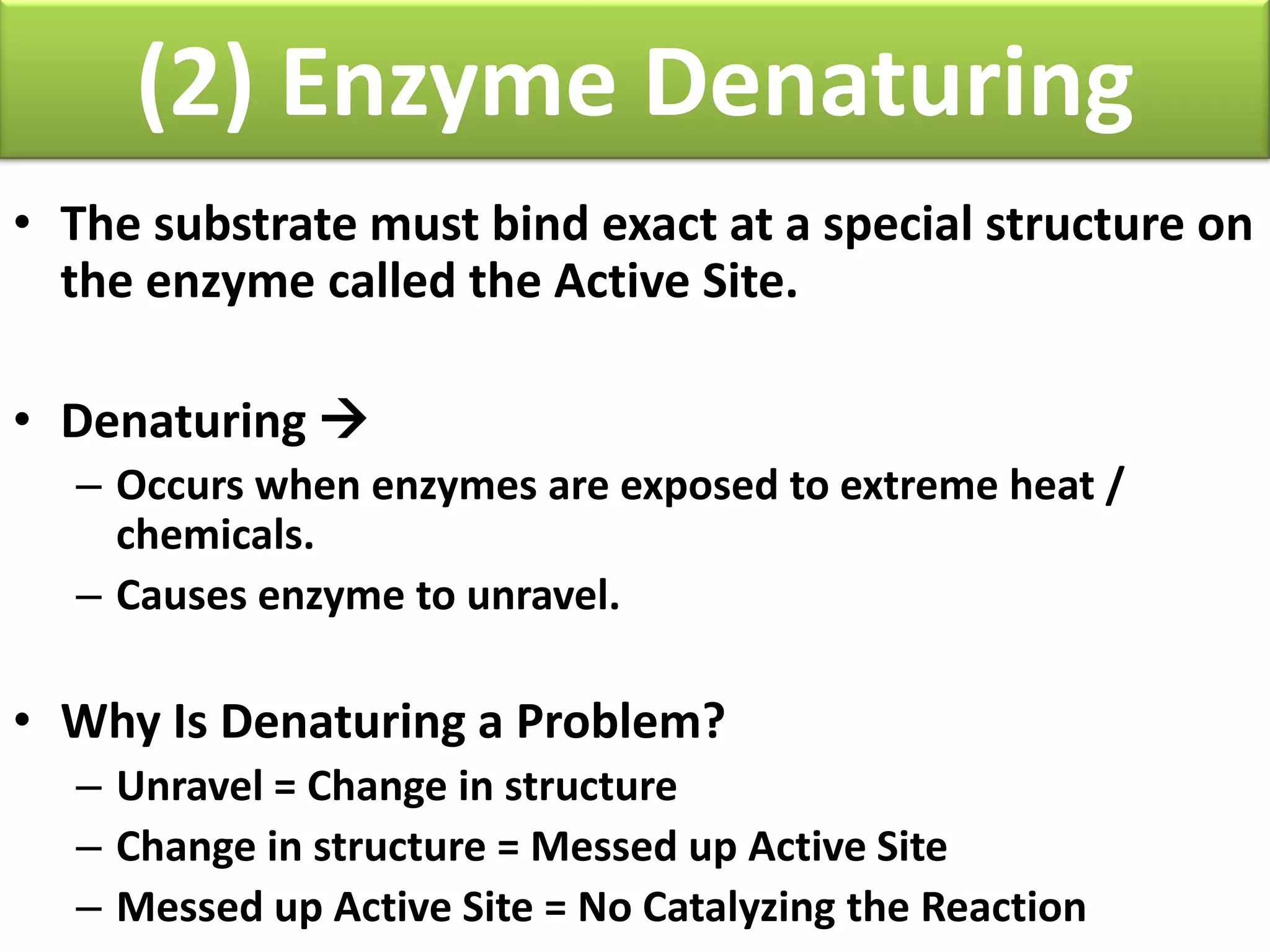 Biology unit 1 biochemistry enzymes and cellular reactions notes | PPTX