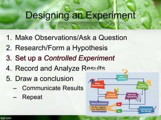 Designing an Experiment
1. Make Observations/Ask a Question
2. Research/Form a Hypothesis
4. Record and Analyze Results
5. Draw a conclusion
– Communicate Results
– Repeat
 