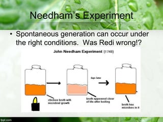 Needham’s Experiment
• Spontaneous generation can occur under
the right conditions. Was Redi wrong!?
 