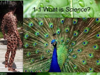1-1 What is Science?
 