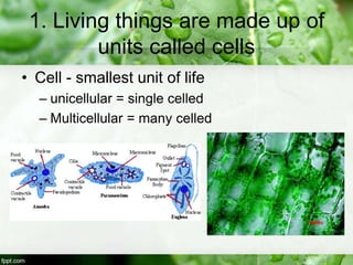 1. Living things are made up of
units called cells
• Cell - smallest unit of life
– unicellular = single celled
– Multicellular = many celled
 
