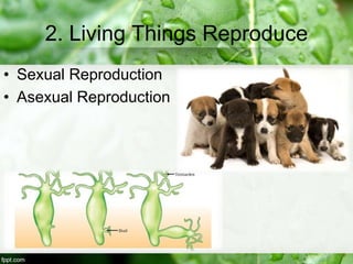2. Living Things Reproduce
• Sexual Reproduction
• Asexual Reproduction
 