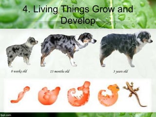 4. Living Things Grow and
Develop
 