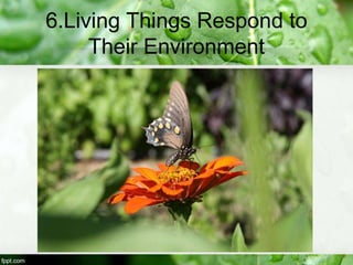 6.Living Things Respond to
Their Environment
 