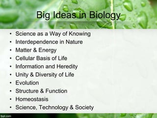 Big Ideas in Biology
• Science as a Way of Knowing
• Interdependence in Nature
• Matter & Energy
• Cellular Basis of Life
• Information and Heredity
• Unity & Diversity of Life
• Evolution
• Structure & Function
• Homeostasis
• Science, Technology & Society
 