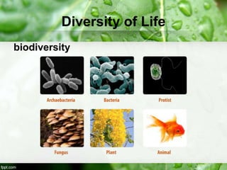 Diversity of Life
biodiversity
 