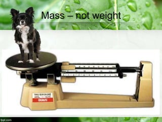 Mass – not weight
 