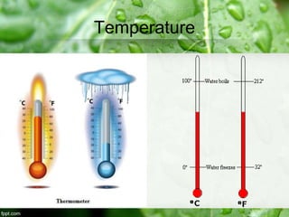 Temperature
 