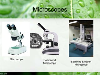 Microscopes
Steroscope Compound
Microscope
Scanning Electron
Microscope
 