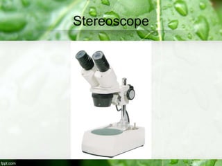 Stereoscope
 