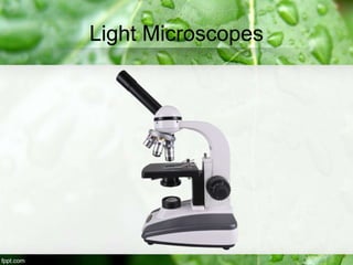 Light Microscopes
 